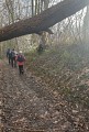 Mont Bellot