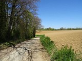La montagne d'Hauette