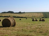 Campagne_2006©VisitBeauvais (2)