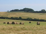 Campagne_2006©VisitBeauvais (1)