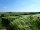 Circuit_AS38_Lataule_P5260033