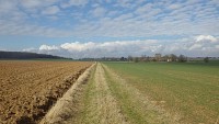 Rime_Bruneau
