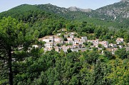 isolaccio