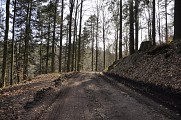 Randonnée - La forêt de Chirgoutte