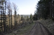 Randonnée - La forêt de Chirgoutte
