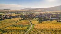 Sentier viticole de Mittelbergheim - Le Zotzenberg