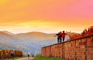 Sentier viticole de Mittelbergheim - Le Zotzenberg