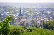Point de vue Barr