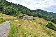 Circuit rando - sur les hauteurs du Bonhomme