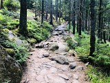 Circuit rando - du lac Noir au lac des Truites