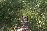 Sentier : autour du Kochersberg