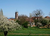 A la découverte de Sausheim