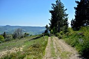 Circuit rando - Massif de la Tête des Faux