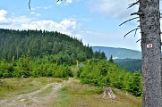 Circuit rando - le petit Brézouard par le château du Bonhomme