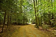 Circuit rando - Orbey, le creux d'argent