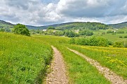 Circuit rando - Orbey, le creux d'argent