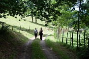 Randonnée - Entre vignoble et vergers