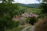 Randonnée - Entre vignoble et vergers