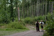 Randonnée - Entre vignoble et vergers