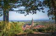 Découverte de la cité et du sentier viticole de Dambach-la-Ville