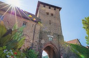 Découverte de la cité et du sentier viticole de Dambach-la-Ville