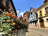 Circuit rando - de Kaysersberg à Kientzheim par les vignes