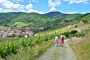 Circuit rando - de Kaysersberg à Kientzheim par les vignes