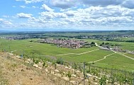 Circuit rando - de Kaysersberg à Kientzheim par les vignes