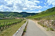 Circuit rando - de Kaysersberg à Kientzheim par les vignes