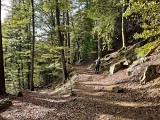 Sur le parcours de randonnée