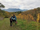 Chemin du Patrimoine ''Vignoble de montagne''
