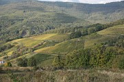 Chemin du Patrimoine ''Vignoble de montagne''