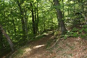 Randonnée Masevaux/Sickert : Roches du Galgenstein et Rocher de la Croix - Circuit 2