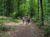Sentier des Mélèzes de Durmenach