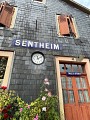 Randonnée Sentheim : Entre la Doller et le Soultzbach - Circuit court