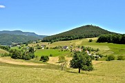 Circuit rando - sur les hauteurs de Lapoutroie