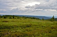 Circuit rando - tour panoramique par le Gazon du Faing