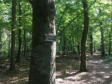 Le grand circuit de Stocklach
