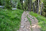 Circuit rando - la crête du lac Blanc