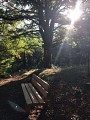 Randonnée Dolleren : Sentier de découverte du Graber