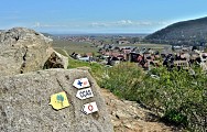 Circuit rando - à la découverte des arbres remarquables