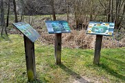 Circuit rando - à la découverte des arbres remarquables