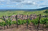 Circuit rando - du Sommerberg au château du Wineck