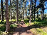 Circuit rando - le Koenigsstuhl et la roche du Tétras par Saint-Alexis