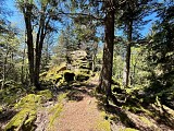 Circuit rando - le Koenigsstuhl et la roche du Tétras par Saint-Alexis