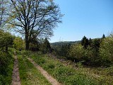 Circuit de Zittersheim