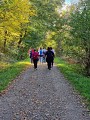 Sentier L'Ill aux trésors
