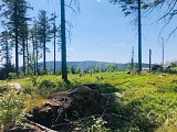 Circuit rando - le tour des Immerlins