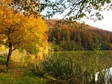 Lac de Lucelle