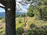 Circuit rando - le Surcenord par Gazon l'Hôte